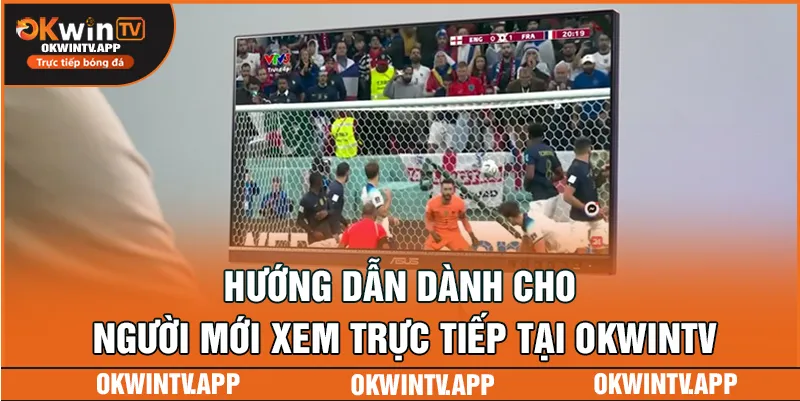 Hướng dẫn dành cho người mới xem trực tiếp tại OKWINTV