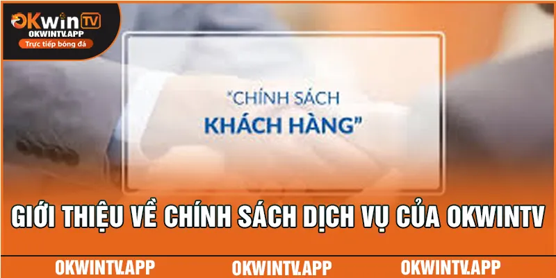 Giới thiệu về chính sách dịch vụ của OKWINTV